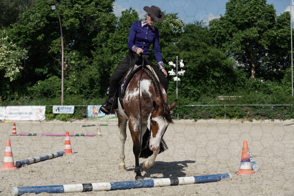 s_APF06648.jpg